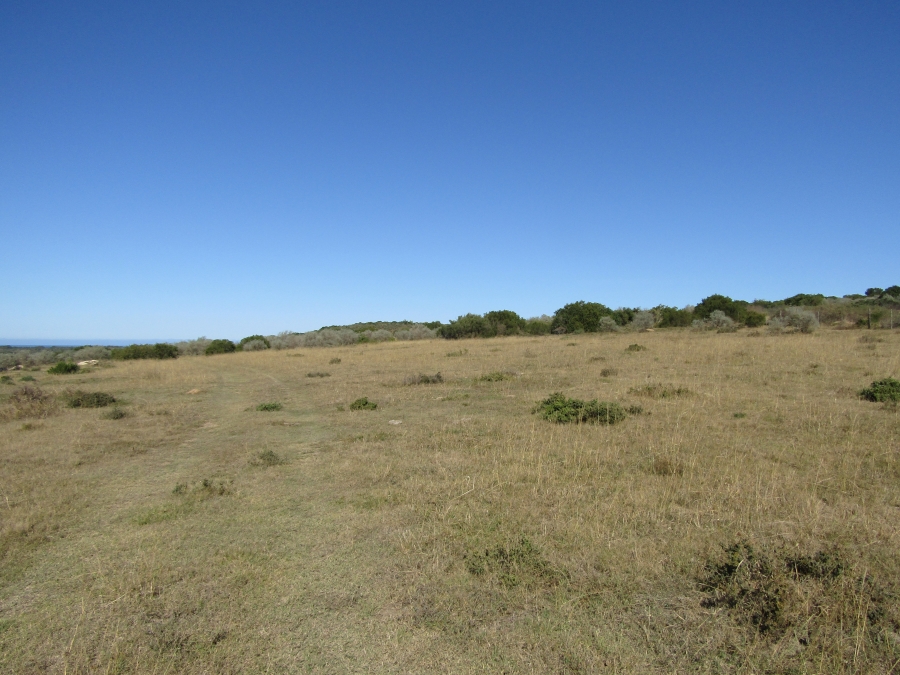 Commercial Property for Sale in Gamtoos Mouth Eastern Cape